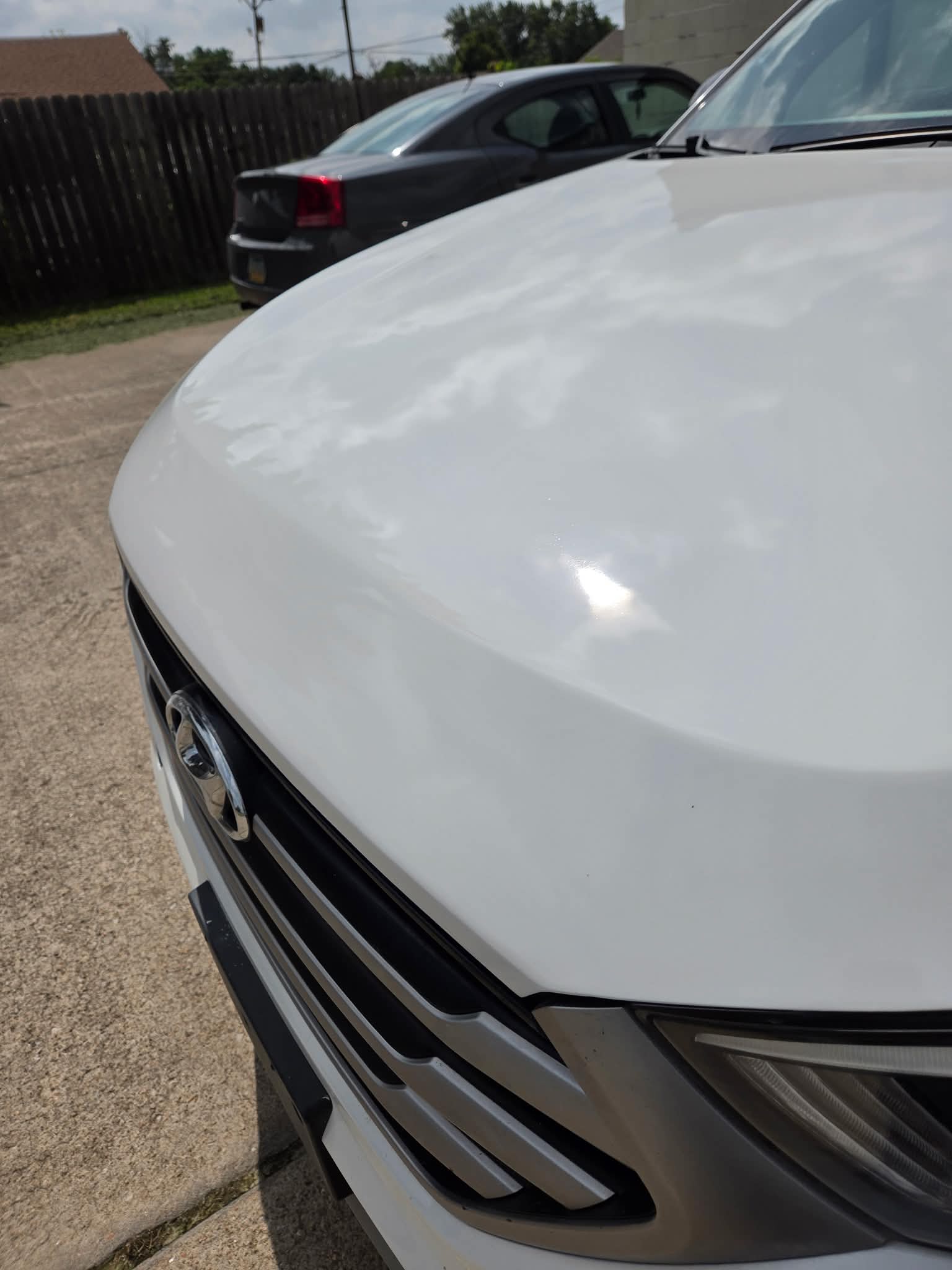 White hood chip repair after paint matching